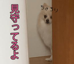 645651524