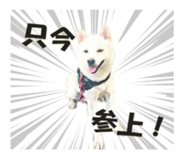 645659385