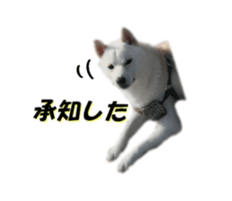645659394