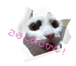 645669716
