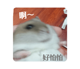 645683671