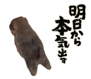 645695350