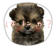 645695363