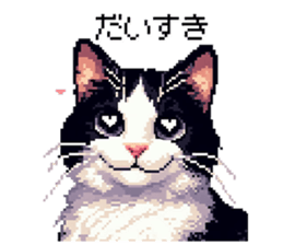 645710607