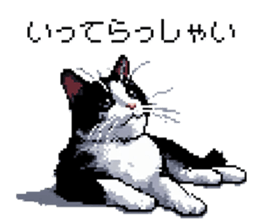 645710610