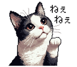 645710612