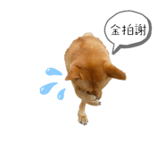 645721867