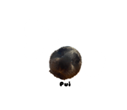 645744103