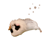 645744108