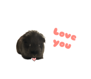 645744120
