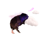 645744122
