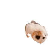 645744133