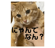 645747778