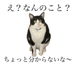 645754074