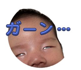 645755086
