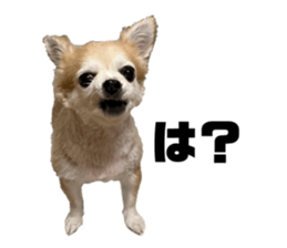 645761590
