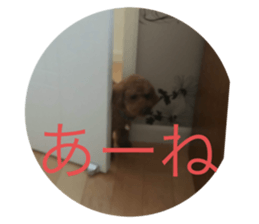 645765085