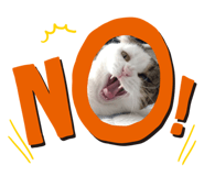 645766262