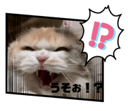 645766278