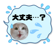 645766282