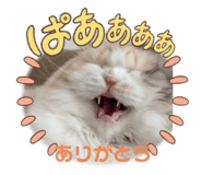 645766286