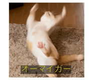 645772459