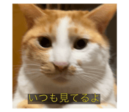 645772460
