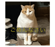645772468