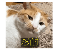 645772470