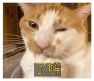 645772473