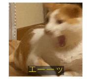 645772477