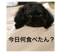 645776031