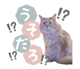 645777431