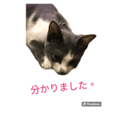 645777943