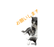 645777944