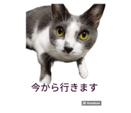 645777945