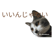 645777947