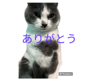 645777949