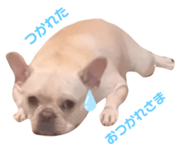 645779095