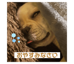 645779099