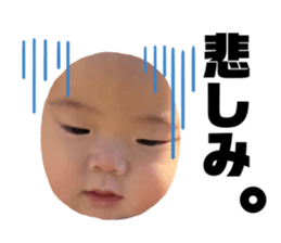 645780540