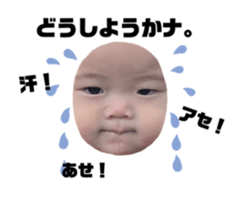 645780545