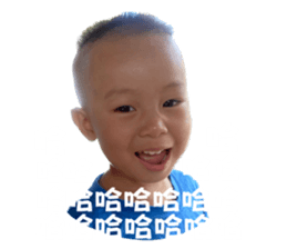 645780882