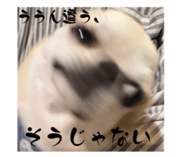 645784400
