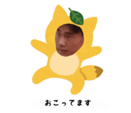 645786595