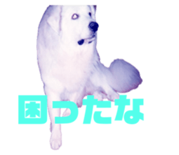 645787397