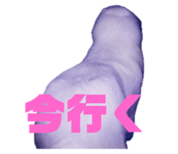 645787398