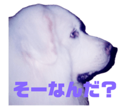 645787403