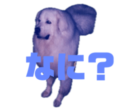 645787405