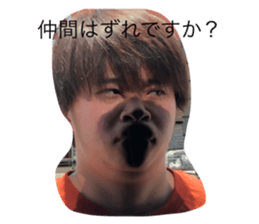 645794686